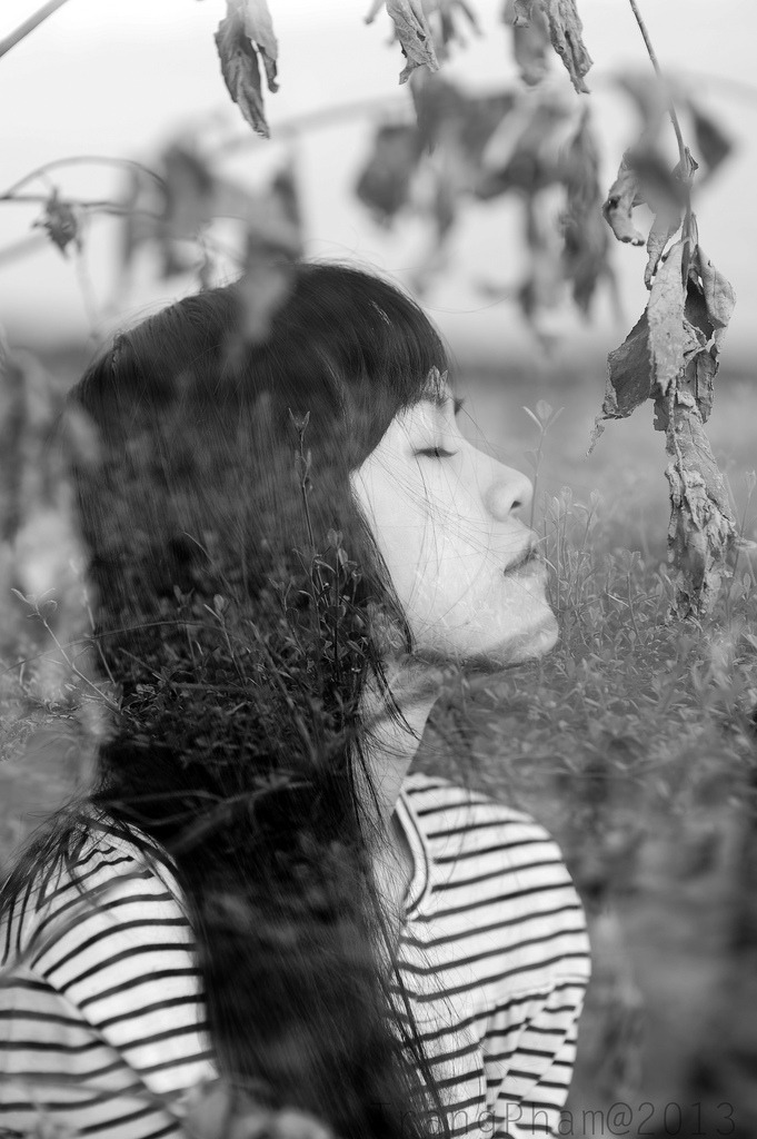 純真歲月電視劇免費(fèi)觀看
